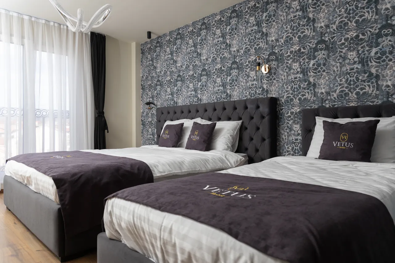 Triple room, two beds with Vetus pillows